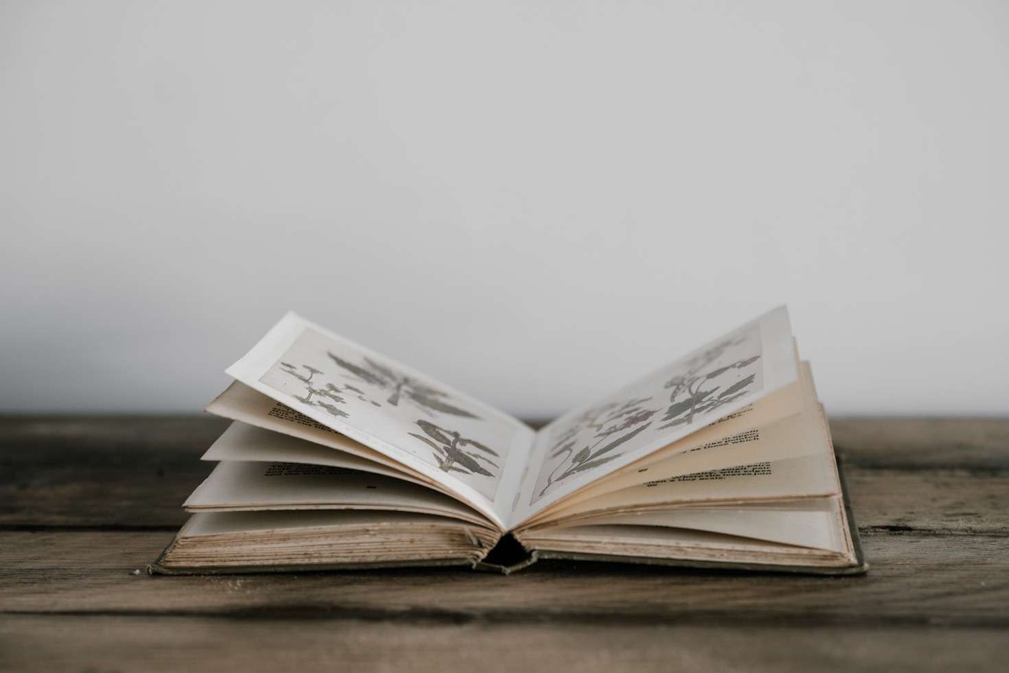 Building a Reading Culture Among Ugandan Youth
